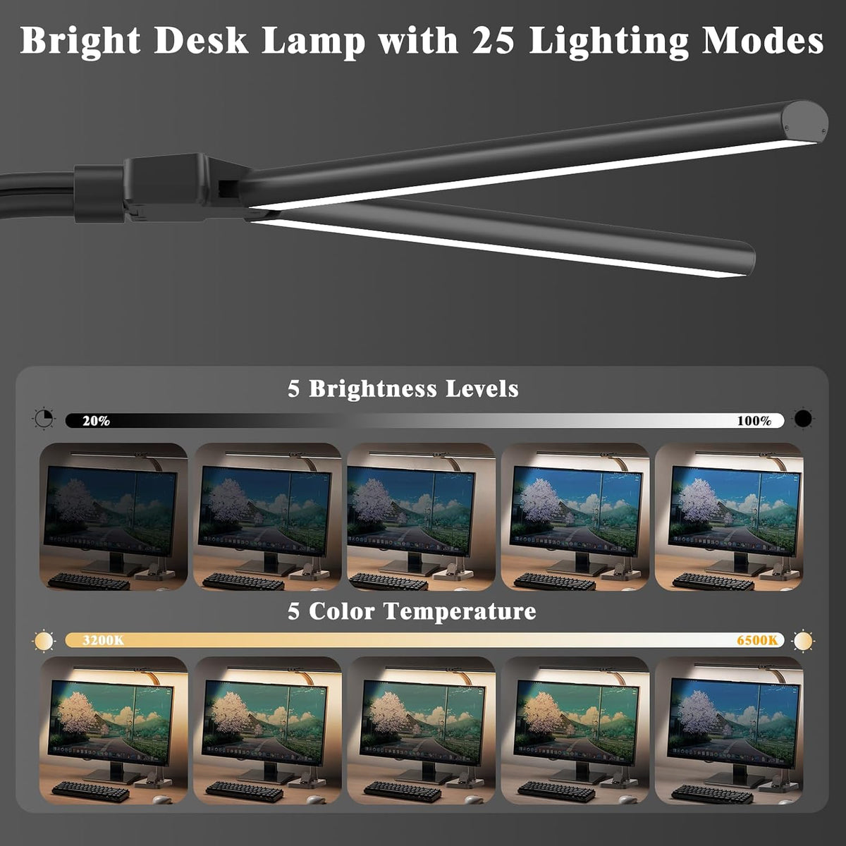 LED Desk Lamp